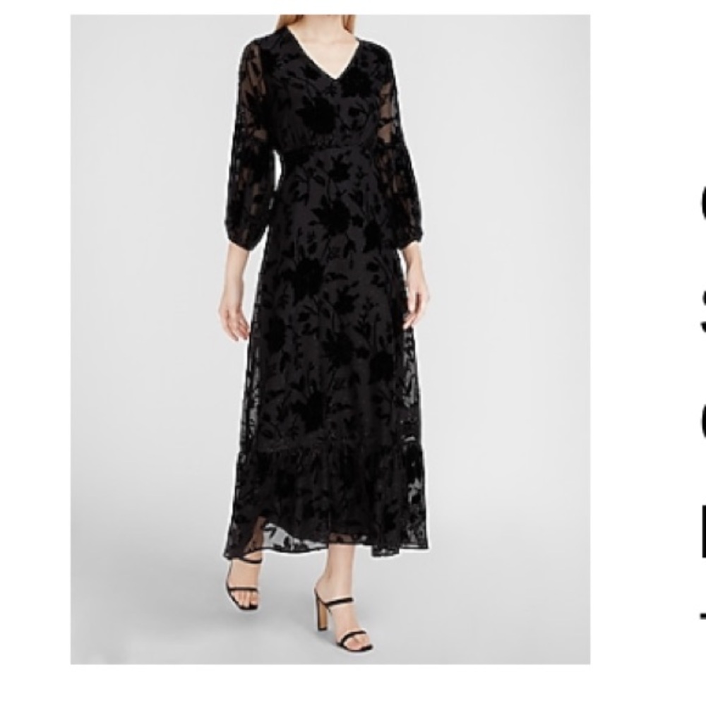 Express Velvet Burnout Sequin Maxi Dress